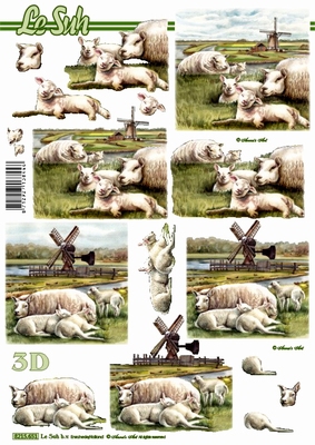 knipvellen/le suh nouvelle/651.jpg